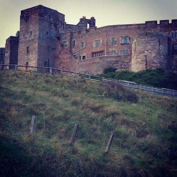 Meet your Posher 🌷POSH AMBASSADOR🌷 - Picture 7 of 9